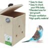 PetNest Standard Budgie Bird and Love Bird breeding nest Box