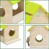 PetNest Wild Hanging Bird Feeder Chabutra Gift idea for Outside, Patio, Backyard, with Free Hanging (Green Chabutra)