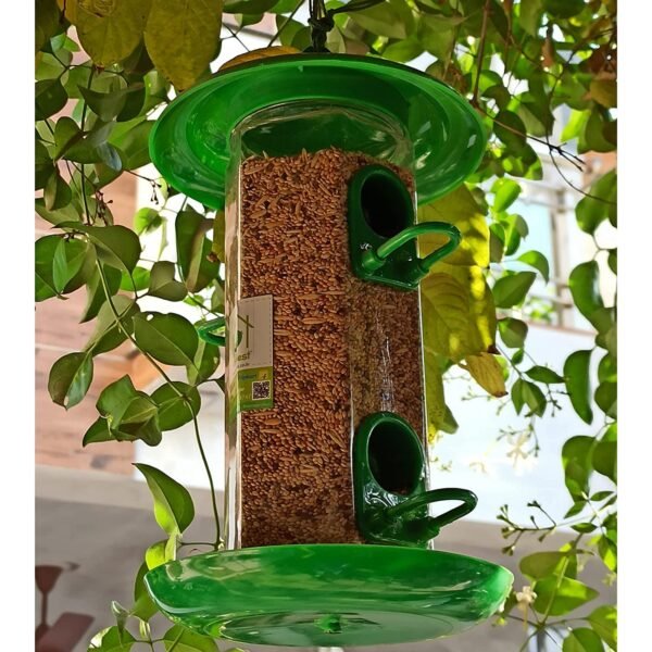 PetNest Hexa Bird Feeder