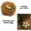 petnest Manually Extracted Natural Coir Fiber Nesting Material for Birds for Making Nest, Laying Eggs Breeding as Natural Bed, Playing Toy and Many More 250 Grams