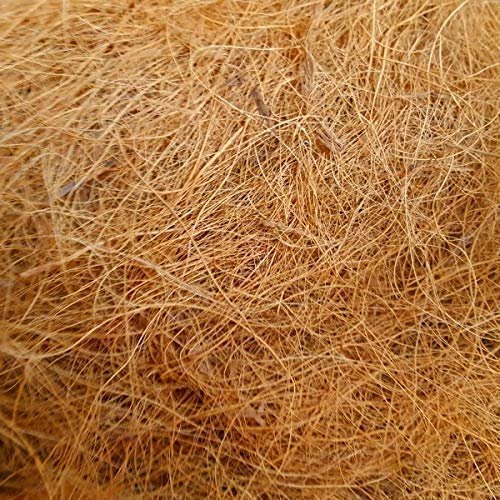 petnest Manually Extracted Natural Coir Fiber Nesting Material for Birds for Making Nest, Laying Eggs Breeding as Natural Bed, Playing Toy and Many More 250 Grams