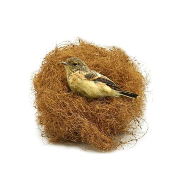 petnest Manually Extracted Natural Coir Fiber Nesting Material for Birds for Making Nest, Laying Eggs Breeding as Natural Bed, Playing Toy and Many More 250 Grams